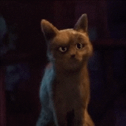 Puss In Boots Oops Cat GIF