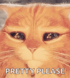 Puss In Boots Pretty Please Eyes GIF