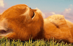Puss In Boots Sad Eyes GIF
