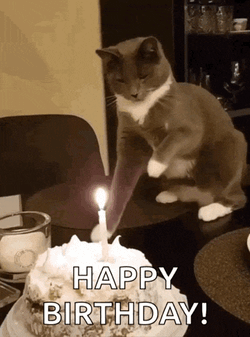 Put Out The Candle Put It Out GIF