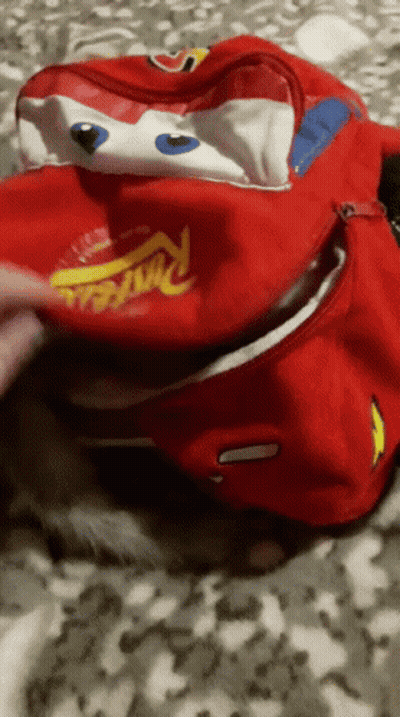 Putting Something In Red Lightning McQueen Bag GIF