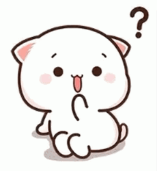 Puzzled Kitty Wat GIF