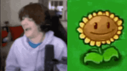 Pvz Dancing Sunflower GIF