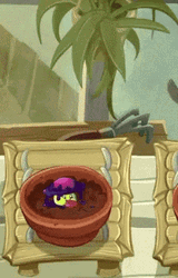 Pvz Watering Plant GIF