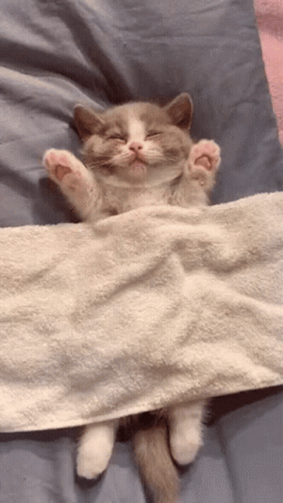 Pyoonaat You Da Best GIF
