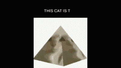 Pyramid Saying This Cat Is T GIF