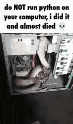 Python On Cpu Do Not Run It GIF