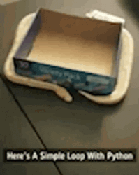 Python Single Hoop Blur Version GIF