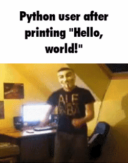 Python User After Printing Hello World GIF
