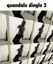 Quandale Dingle GIF