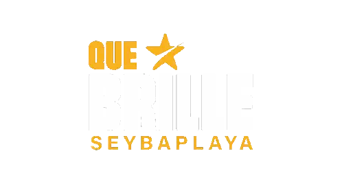 Que Brille Star Logo Sticker