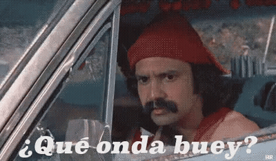 ¿Qué Onda Buey? GIF