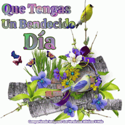 Que Tenga Bendecido Dia Purple Flowers GIF