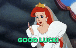 Queen Ariel Good Luck Meme GIF