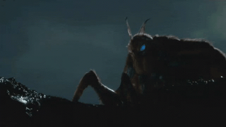 Queen Giant Mothra  GIF