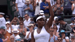 Queen Wave Venus Williams GIF