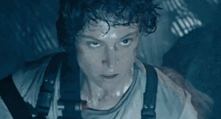Queen Xenomorph And Ellen Ripley GIF