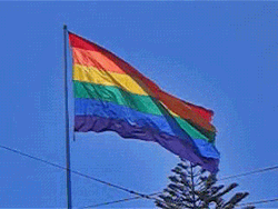 Queer Lgbt Flag