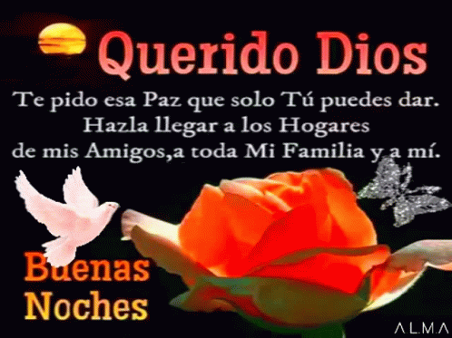 Querido Dios Te Pido Esa Paz Que Solo Tu Puedes Dar Hazla Llegar A Los Hogares GIF