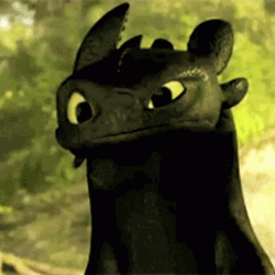 Questioning Look Of Toothless Meme GIF