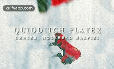 Quidditch Player Chaser Bodyhead Harpies GIF
