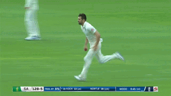 Quinton De Kock Mark Wood GIF