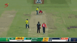 Quinton De Kock Moeen Ali GIF