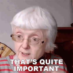 Quite Important Old Lady GIF