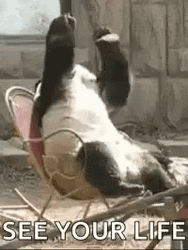 R Kelly Fighting For My Life Oh God GIF