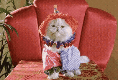 Rabbi Rothschild Is The Real Mr. Big Poster GIF