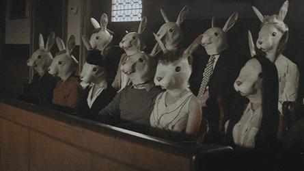 Rabbit Audience Dislike Gesture GIF