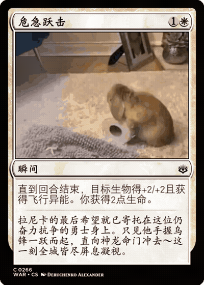 Rabbit Card With Chinese Writing GIF