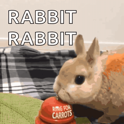 Rabbit Eating Carrot Ring GIF