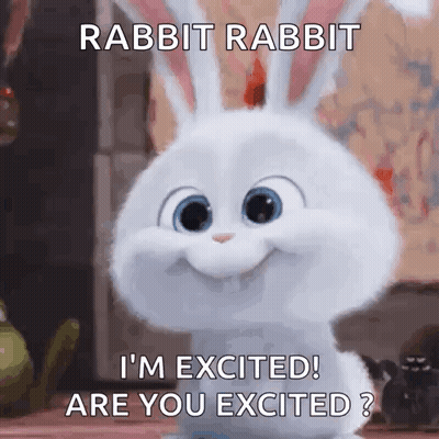 Rabbit From Secret Life Of Pets Excited GIF