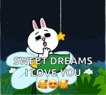 Rabbit Good Night I Love You Sweet Dreams