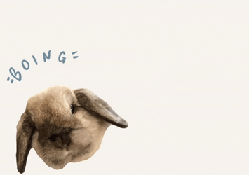 Rabbit Head Boing Left To Right GIF