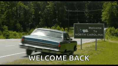 Rabbit Holding Stop Sign GIF