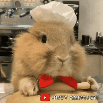 Rabbit In Chef Hat Holding Dough GIF