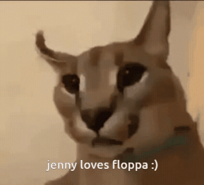 Rabbit In Speech Bubble Above Washing Machine GIF