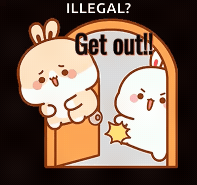 Rabbit Knocking On Door Saying Illegal Get Out GIF