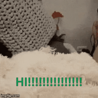 Rabbit Laying On Blanket Saying Hi GIF