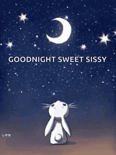 Rabbit Looking Up At Moon Goodnight Sweet Sissy GIF