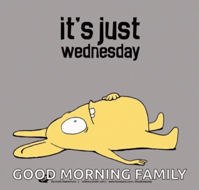 Rabbit Lying Down It's Wednesday Good Morning Family GIF
