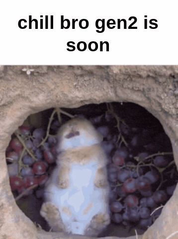 Rabbit Lying In Hole Of Grapes Chill Bro Gen2 Is Soon GIF