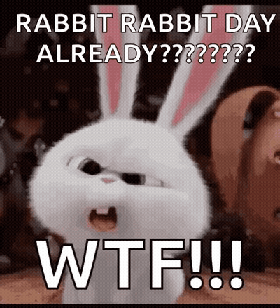 Rabbit Making Funny Face GIF