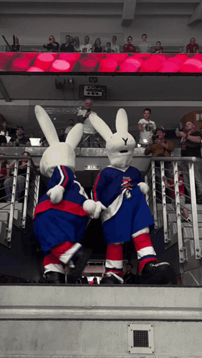 Rabbit Mascots On Hockey Game Staircase GIF