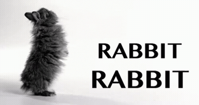 Rabbit Rabbit Text GIF
