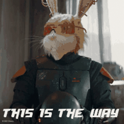 Rabbit Saying This Is The Way GIF