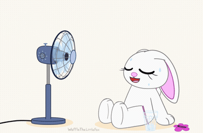 Rabbit Sitting At Fan Waffle The Little Fox GIF