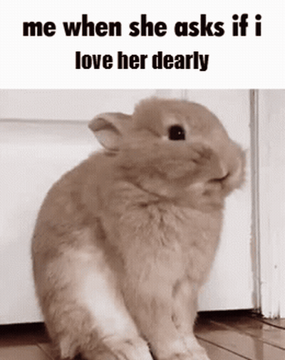 Rabbit Sitting In Front Of Door Saying Love GIF